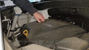 adding new oil to car