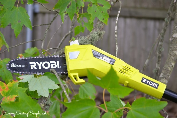 Ryobi 18V Cordless Pole Saw - It's a Husband Thing