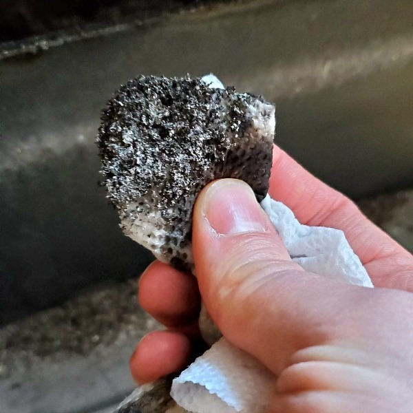 hand holding a wet paper towel with ash stuck to a portion of it. 