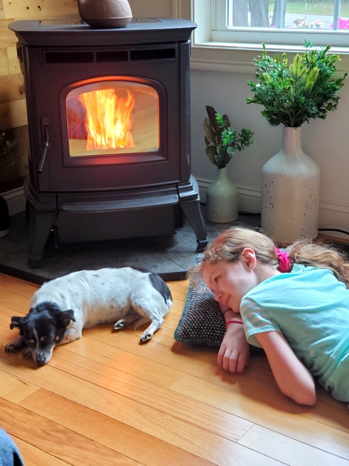 Harman Pellet Stove lit with dog and girl near it