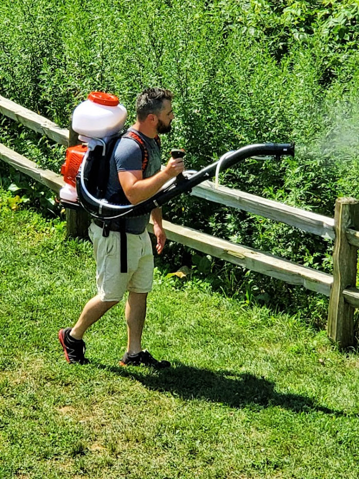 Man using a backpack sprayer to spray a yard for mosquitoes and ticks. Green leaves and grass in background.